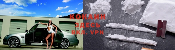 индика Алексеевка