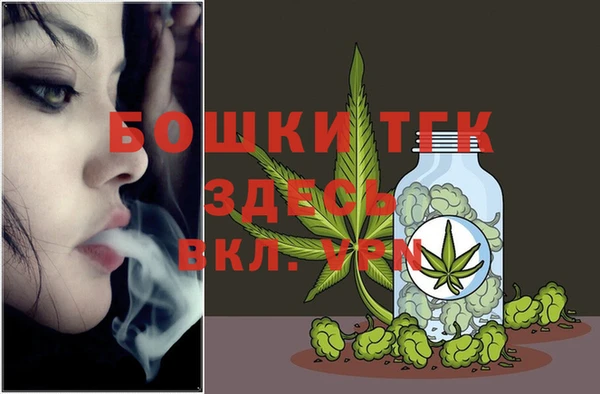 индика Алексеевка