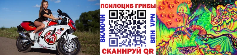 Галлюциногенные грибы Cubensis  купить наркотики цена  Ставрополь 