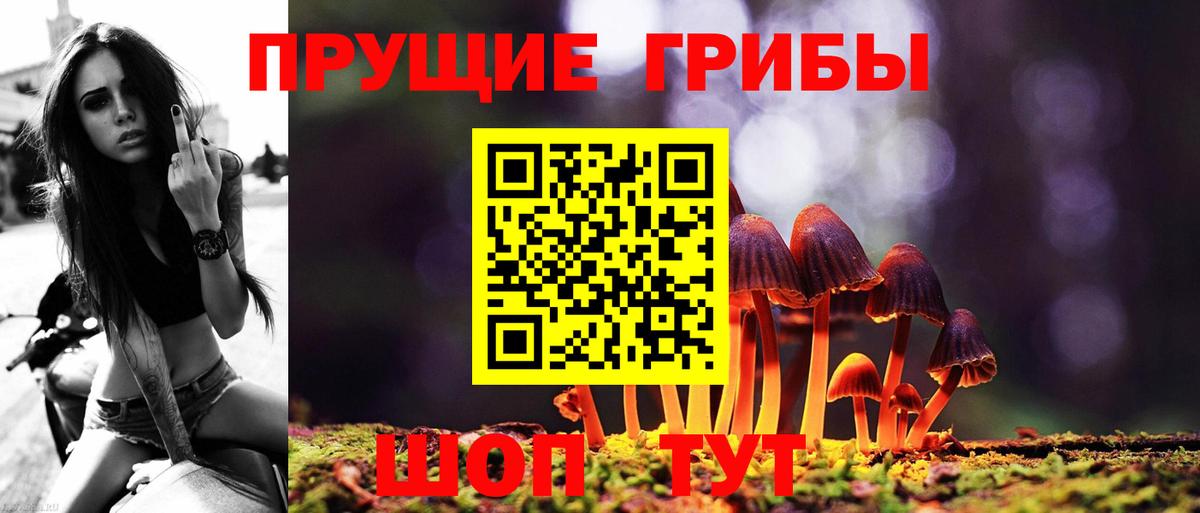 Псилоцибиновые грибы Magic Shrooms  Галлюциногенные грибы мухоморы  Ставрополь  где купить наркоту  Вход с VPN 