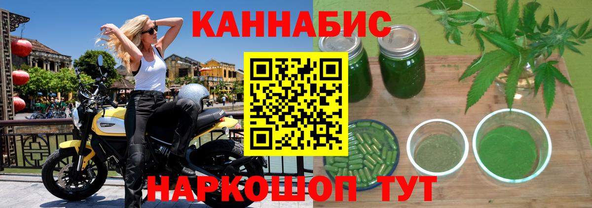 Канабис семена  Вход с VPN  Бошки марихуана OG Kush  Каннабис семена  Ставрополь 