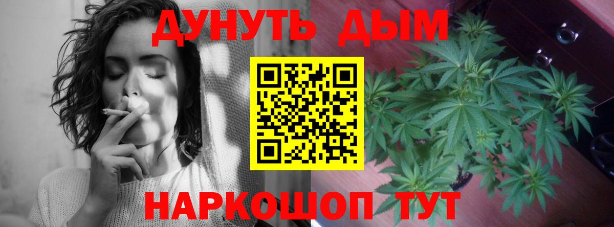 Конопля планчик Ставрополь